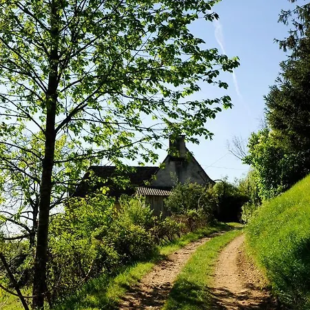 Villa Le Bourmier Anlhiac Near Excideuil Extérieur photo