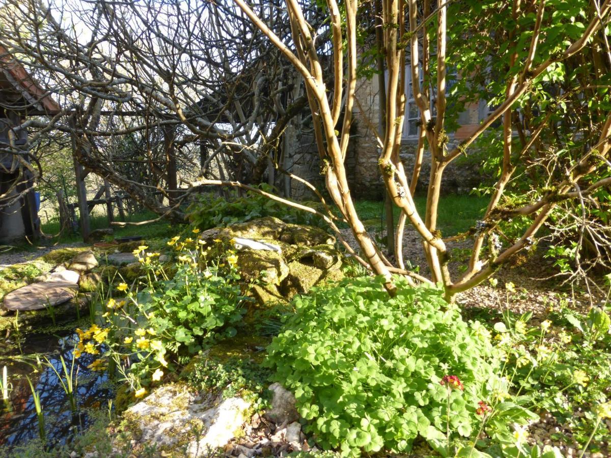 Le Bourmier Near Excideuil Anlhiac